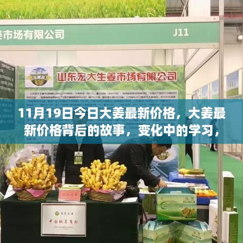 11月19日大姜最新价格揭秘，变化中的学习，自信与成就的力量