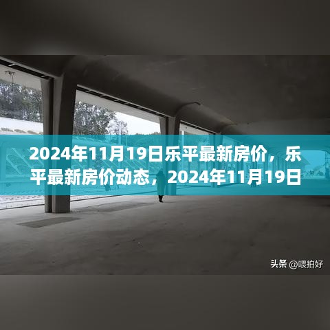 2024年11月19日乐平最新房价动态及深度解析