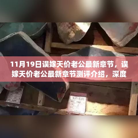 误嫁天价老公最新章节深度解析与测评介绍