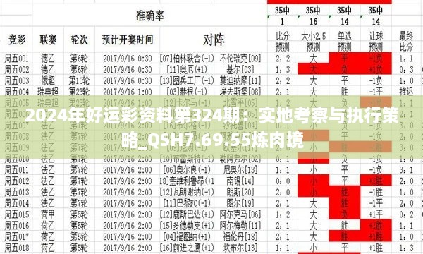 2024年好运彩资料第324期：实地考察与执行策略_QSH7.69.55炼肉境