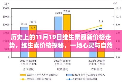 历史上的11月19日维生素价格走势揭秘，心灵与自然美景的邂逅与价格探秘