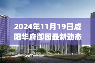 咸阳华府御园新动态启示录，学习变化，自信成就未来（2024年11月19日最新资讯）