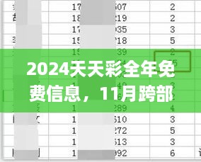 2024天天彩全年免费信息，11月跨部门协调执行计划_NGI9.67.94复制版