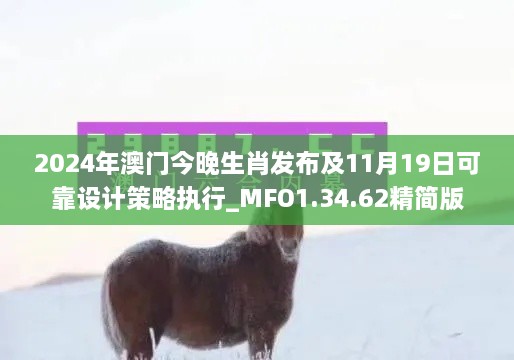 2024年澳门今晚生肖发布及11月19日可靠设计策略执行_MFO1.34.62精简版