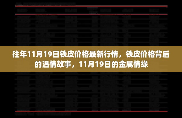 11月19日铁皮价格行情背后的温情故事与金属情缘探索