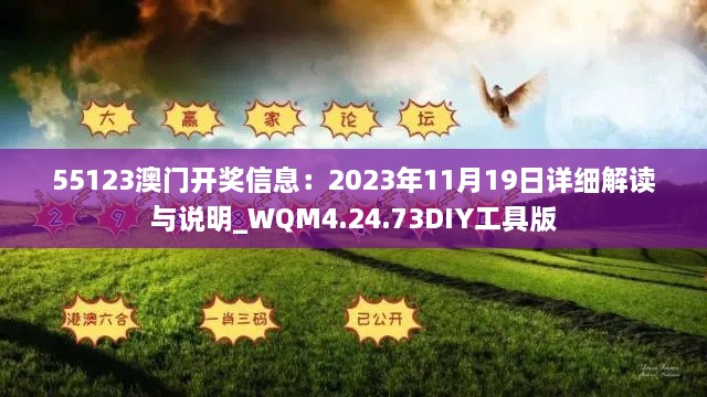 55123澳门开奖信息：2023年11月19日详细解读与说明_WQM4.24.73DIY工具版