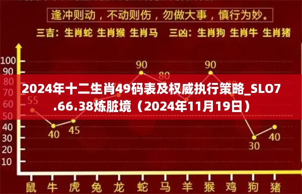 2024年十二生肖49码表及权威执行策略_SLO7.66.38炼脏境（2024年11月19日）