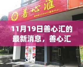 11月19日善心汇最新动态与深度解读