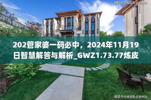 202管家婆一码必中，2024年11月19日智慧解答与解析_GWZ1.73.77炼皮境