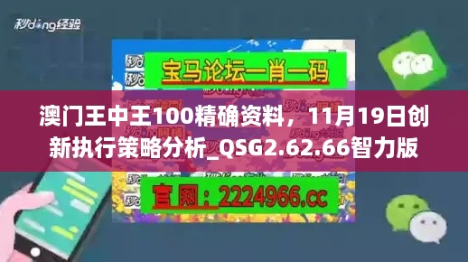 澳门王中王100精确资料，11月19日创新执行策略分析_QSG2.62.66智力版