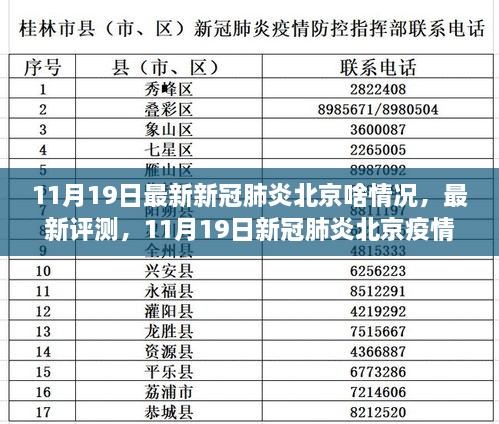 11月19日北京新冠肺炎最新疫情概况与深度解析