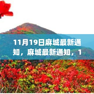 麻城最新通知，启程自然秘境之旅，重拾心灵宁静，11月19日出发