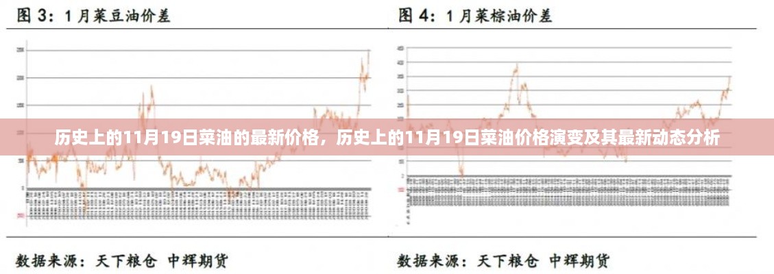 历史上的菜油价格演变与最新动态分析，聚焦11月19日的油价动态及最新价格趋势报告