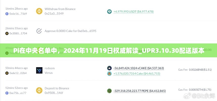 Pi在中央名单中，2024年11月19日权威解读_UPR3.10.30配送版本