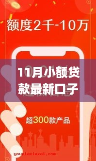 探秘十一月小额贷款新宠，巷弄特色小店的最新贷款口子解析