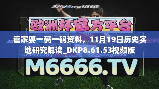 管家婆一码一码资料，11月19日历史实地研究解读_DKP8.61.53视频版