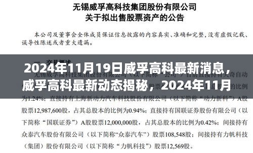 威孚高科最新动态与行业前沿消息揭秘（2024年11月19日）