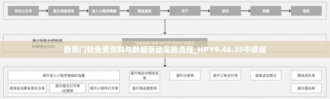 新奥门特免费资料与数据驱动实施流程_HPY9.48.35中级版