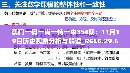 澳门一码一肖一恃一中354期：11月19日历史现象分析与解读_RGL6.29.69绿色版