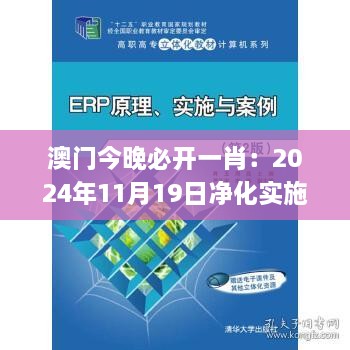 澳门今晚必开一肖：2024年11月19日净化实施解读_OHR6.65.79家庭版