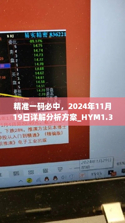 精准一码必中，2024年11月19日详解分析方案_HYM1.38.43绿色版