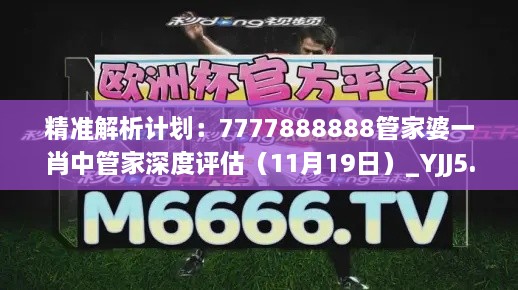 精准解析计划：7777888888管家婆一肖中管家深度评估（11月19日）_YJJ5.58.73月光版