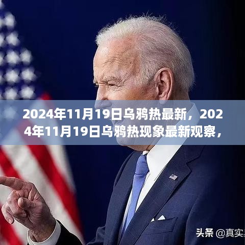 2024年11月19日乌鸦热现象深度观察与观点阐述，最新动态与深度分析