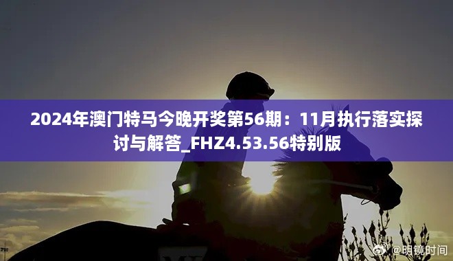 2024年澳门特马今晚开奖第56期：11月执行落实探讨与解答_FHZ4.53.56特别版