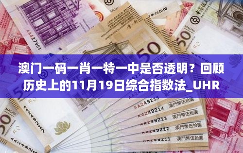 澳门一码一肖一特一中是否透明？回顾历史上的11月19日综合指数法_UHR8.40.50解密版