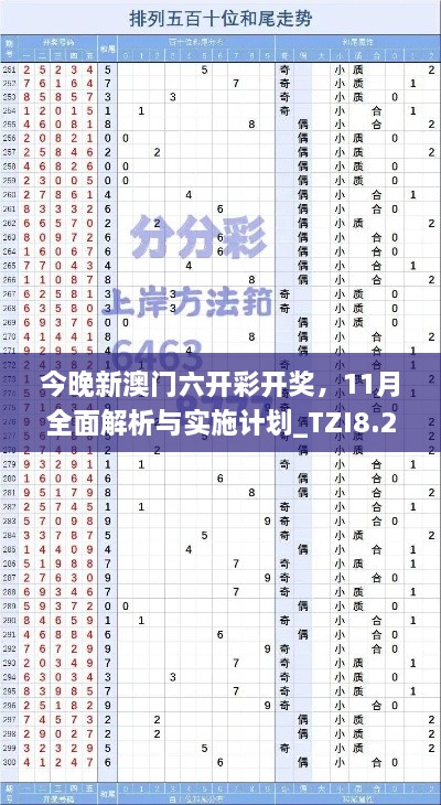 今晚新澳门六开彩开奖，11月全面解析与实施计划_TZI8.22.65全球版