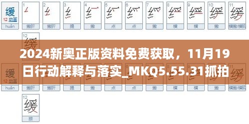 2024新奥正版资料免费获取，11月19日行动解释与落实_MKQ5.55.31抓拍版