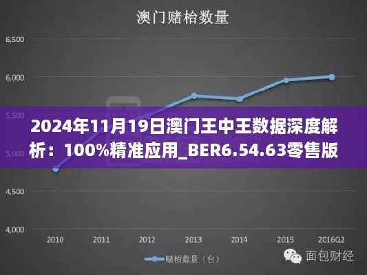 2024年11月19日澳门王中王数据深度解析：100%精准应用_BER6.54.63零售版