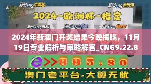 2024年新澳门开奖结果今晚揭晓，11月19日专业解析与策略解答_CNG9.22.86高清版