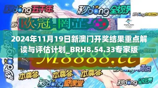 2024年11月19日新澳门开奖结果重点解读与评估计划_BRH8.54.33专家版