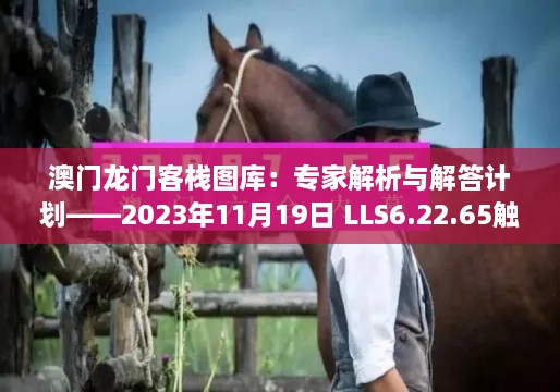 澳门龙门客栈图库：专家解析与解答计划——2023年11月19日 LLS6.22.65触感版