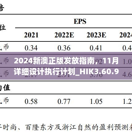 2024新澳正版发放指南，11月详细设计执行计划_HIK3.60.91优雅版