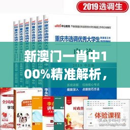 新澳门一肖中100%精准解析，11月19日往年解答详解_HBB1.78.66独家解密版