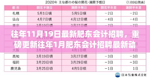 肥东会计招聘最新动态大揭秘，历年职位更新与求职福音