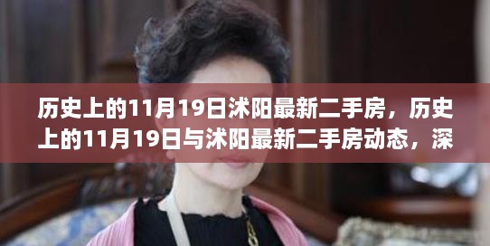 历史上的11月19日与沭阳最新二手房动态，深度解析及不容错过的信息