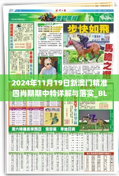 2024年11月19日新澳门精准四肖期期中特详解与落实_BLF1.22.61超高清版