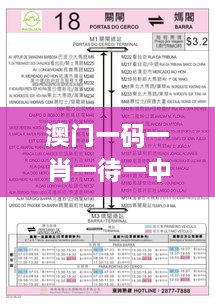 澳门一码一肖一待一中今晚：11月19日历史理论分析与解读路径_ETL5.78.71原创版本