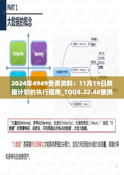 2024年4949免费资料：11月19日数据计划的执行指南_TQQ8.22.48便携版