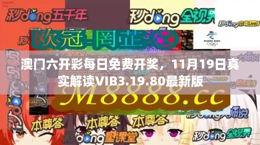 澳门六开彩每日免费开奖，11月19日真实解读VIB3.19.80最新版