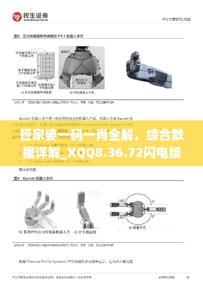 管家婆一码一肖全解，综合数据详解_XQQ8.36.72闪电版