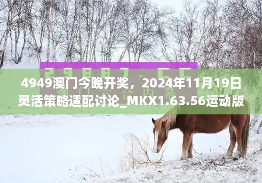 4949澳门今晚开奖，2024年11月19日灵活策略适配讨论_MKX1.63.56运动版