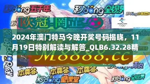 2024年澳门特马今晚开奖号码揭晓，11月19日特别解读与解答_QLB6.32.28精密版