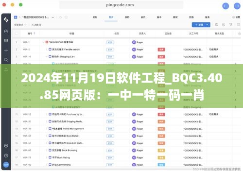 2024年11月19日软件工程_BQC3.40.85网页版：一中一特一码一肖