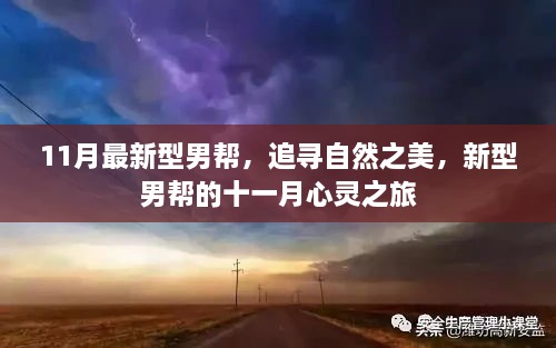 花开无言 第47页