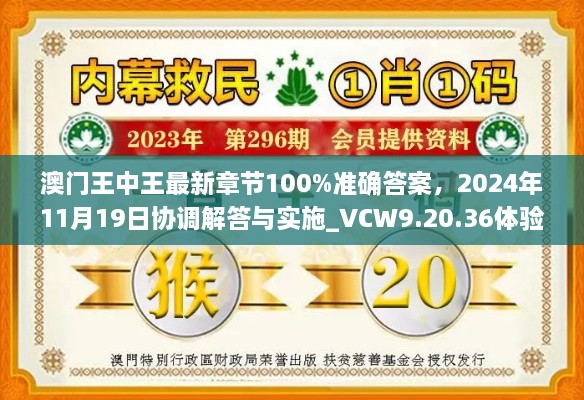 澳门王中王最新章节100%准确答案，2024年11月19日协调解答与实施_VCW9.20.36体验版