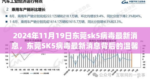 东莞SK5病毒最新消息揭秘，背后的温馨日常故事（2024年11月19日）